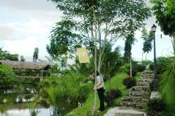 butuan hotel resort and convention cente_2