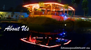 about us